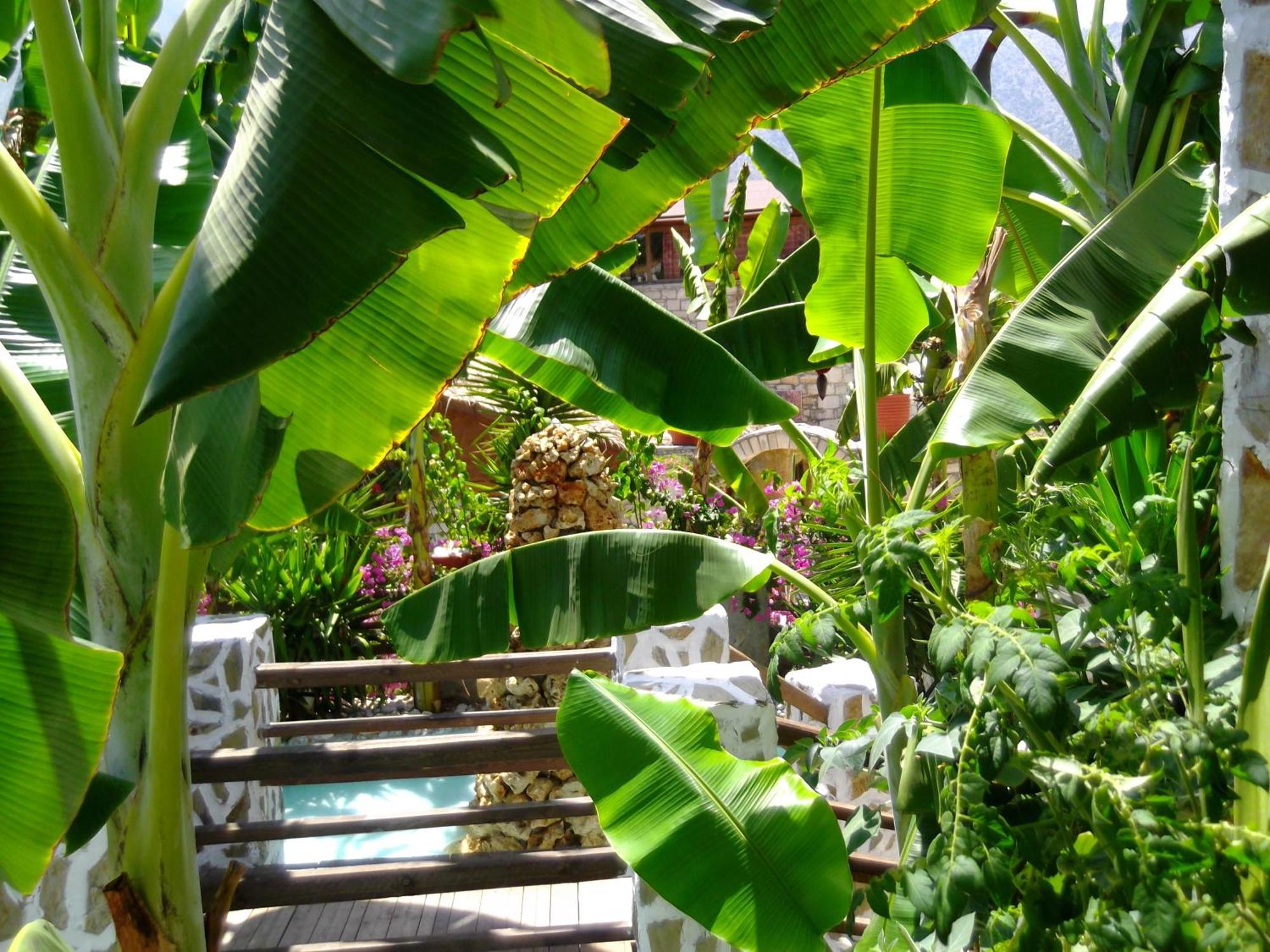 Stone Village Hotel Apartments Bali  Luaran gambar